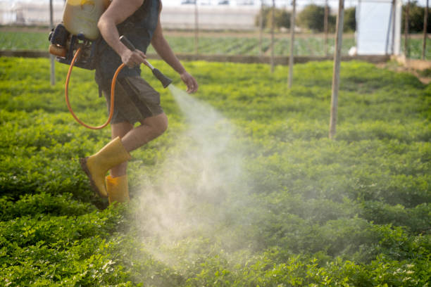 Best Mosquito Control Services  in Beeville, TX