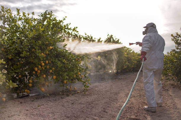 Best Pest Removal Services  in Beeville, TX