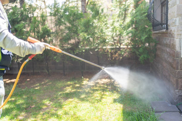 Professional Pest Control in Beeville, TX