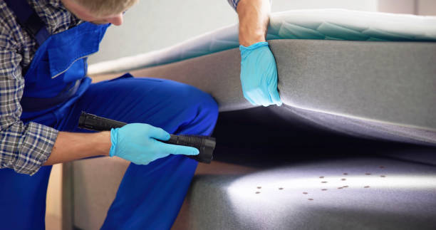 Best Pest Prevention Services  in Beeville, TX
