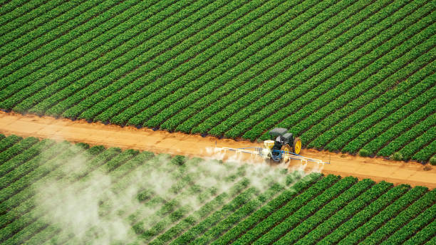 Best Commercial Pest Control Services  in Beeville, TX