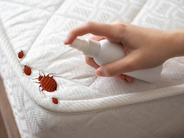 Best Residential Pest Control  in Beeville, TX