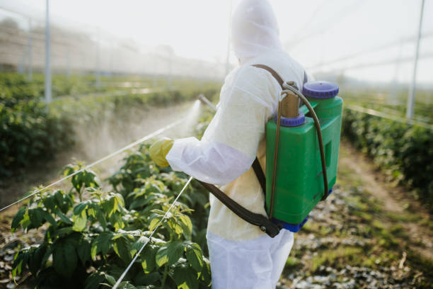 Best Affordable Pest Control Services  in Beeville, TX